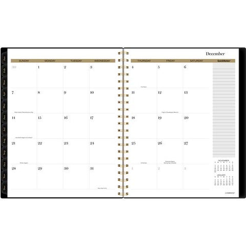 Radiate Weekly/monthly Planner, Stylized Solar-eclipse Artwork, 11 X 9.25, Black/gold Cover, 12-month (jan To Dec): 2025