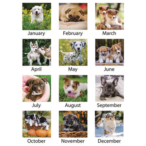 Puppies Monthly Wall Calendar, Puppies Photography, 15.5 X 22.75, White/multicolor Sheets, 12-month (jan To Dec): 2025