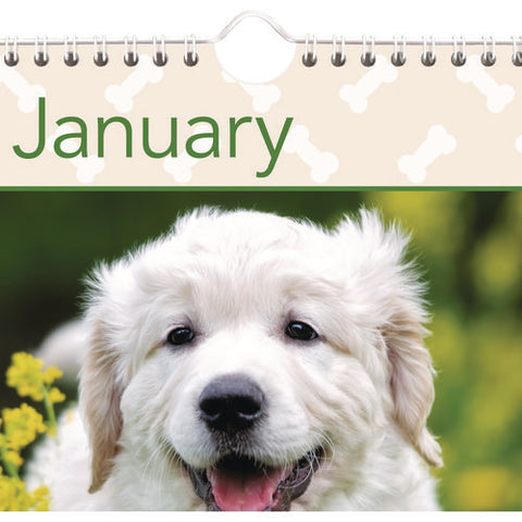 Puppies Monthly Wall Calendar, Puppies Photography, 15.5 X 22.75, White/multicolor Sheets, 12-month (jan To Dec): 2025