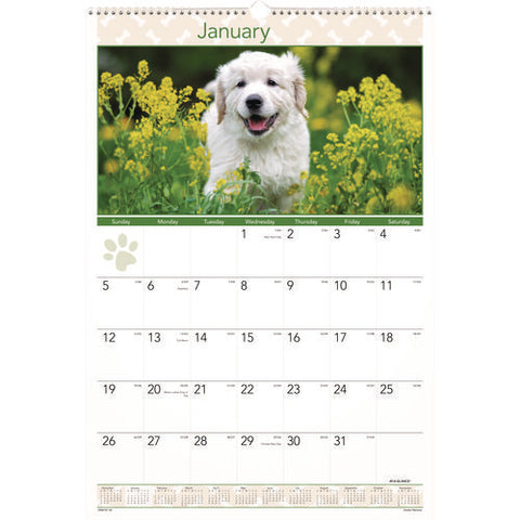 Puppies Monthly Wall Calendar, Puppies Photography, 15.5 X 22.75, White/multicolor Sheets, 12-month (jan To Dec): 2025