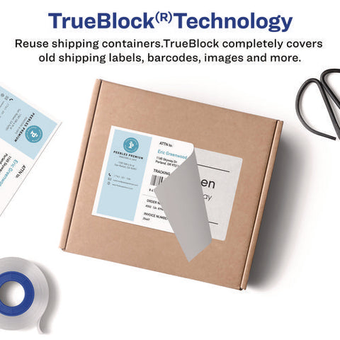 Shipping Labels With Trueblock Technology, Inkjet/laser Printers, 4 X 3, White, 2/sheet, 20 Sheets/pack