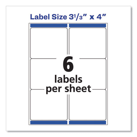 Shipping Labels W/ Trueblock Technology, Laser Printers, 3.33 X 4, White, 6/sheet, 100 Sheets/box