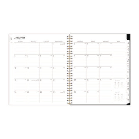 Baccara Dark Monthly Planner, Floral Artwork, 10 X 8, Gray/black/gold Cover, 12-month (jan To Dec): 2025