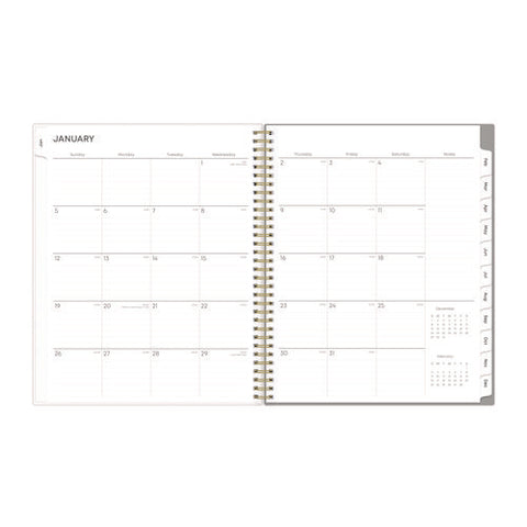 Sophie Frosted Weekly/monthly Planner, Floral Artwork, 11 X 8.5, Multicolor Cover, 12-month (jan To Dec): 2025