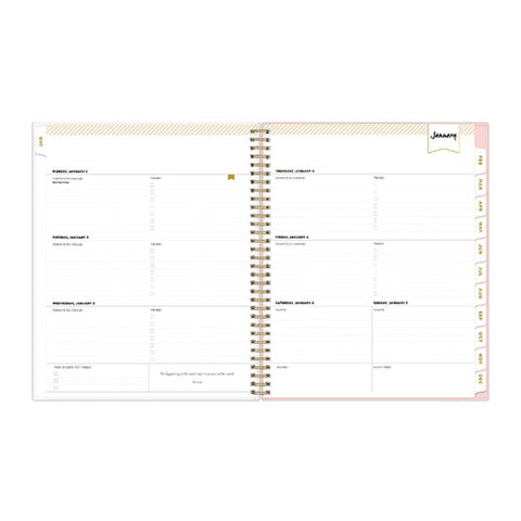 Day Designer Coming Up Roses Create-your-own Cover Weekly/monthly Planner, Roses Artwork, 11 X 8.5, 12-month (jan-dec): 2025