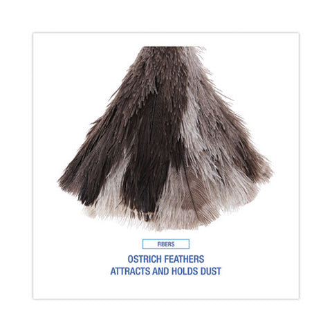 Professional Ostrich Feather Duster, 7" Wood Handle