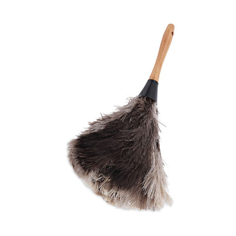 Professional Ostrich Feather Duster, 7" Wood Handle