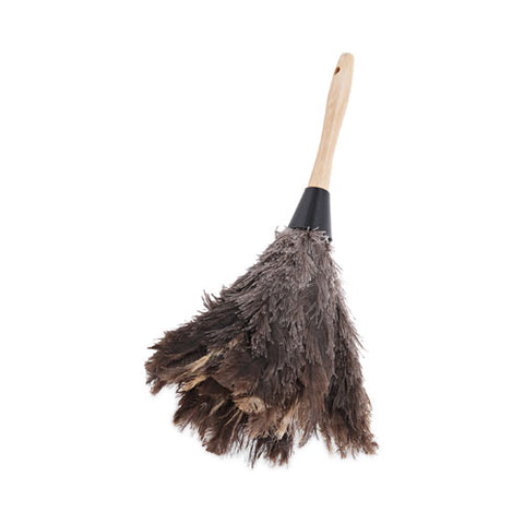 Professional Ostrich Feather Duster, 6" Wood Handle