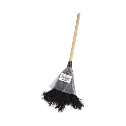 Professional Ostrich Feather Duster, 10" Wood Handle