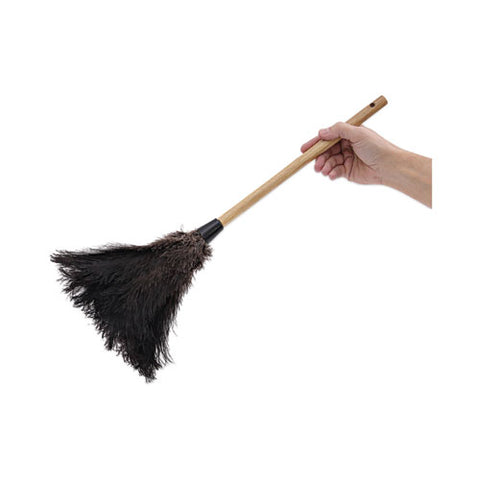 Professional Ostrich Feather Duster, 10" Wood Handle