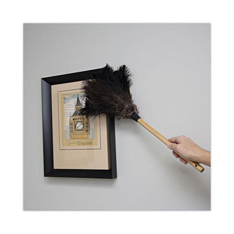 Professional Ostrich Feather Duster, 10" Wood Handle