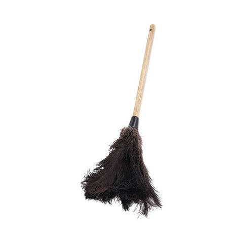 Professional Ostrich Feather Duster, 10" Wood Handle