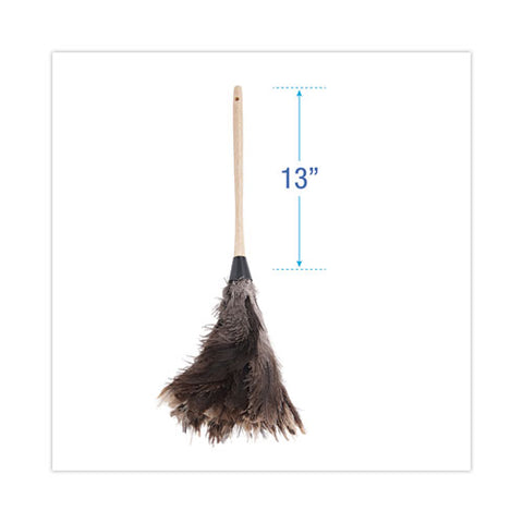 Professional Ostrich Feather Duster, 13" Wood Handle