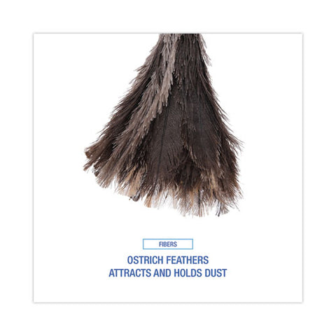 Professional Ostrich Feather Duster, 13" Wood Handle