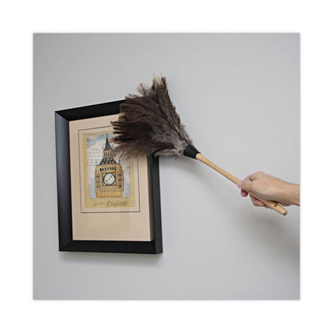 Professional Ostrich Feather Duster, 13" Wood Handle