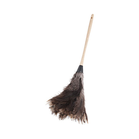 Professional Ostrich Feather Duster, 13" Wood Handle