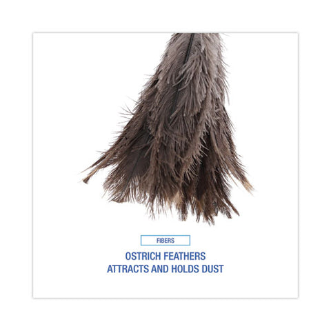 Professional Ostrich Feather Duster, 16" Wood Handle, 12" Gray Bristle