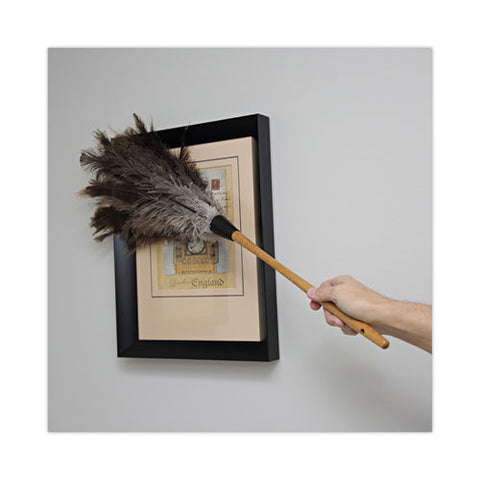 Professional Ostrich Feather Duster, 16" Wood Handle, 12" Gray Bristle