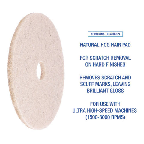 Natural Hog Hair Burnishing Floor Pads, 17" Diameter, Tan, 5/carton