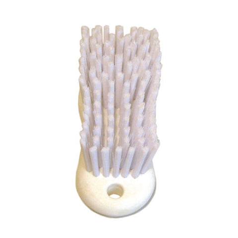 Scrub Brush, White Polypropylene Bristles, 6" Brush, 6" Handle