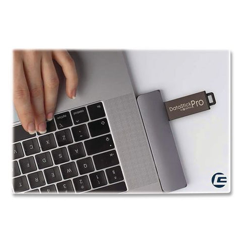 Datastick Pro Usb 3.2 Type A Flash Drive, 256 Gb, Black, 10/pack