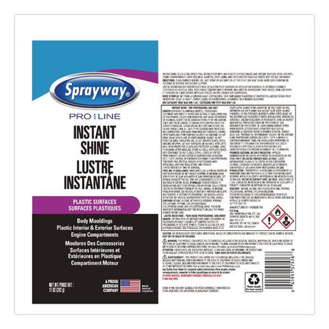 Instant Shine, 11 Oz Aerosol Can, 12/carton