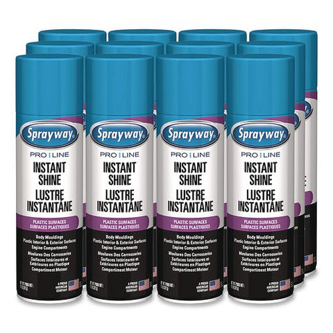 Instant Shine, 11 Oz Aerosol Can, 12/carton