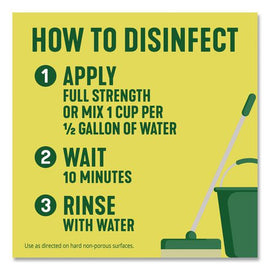 Multi-surface Cleaner Disinfectant Concentrated, Original Pine Scent, 40 Oz Bottle