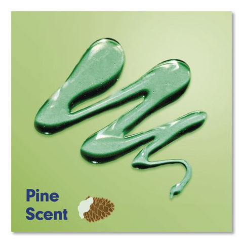 Limited Edition Wonderful Winter Liquid Hand Soap, Pine Scent, 11.25 Oz Pump Bottle