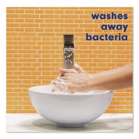 Limited Edition Broomstick Brew Liquid Hand Soap, Raspberry Vanilla Scent, 11.25 Oz, Pump Bottle