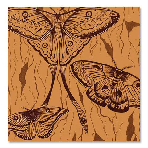 Spiral Composition Book, Medium/college Rule, Midnight Moths, (80) 9.75 X 7.5 Sheets