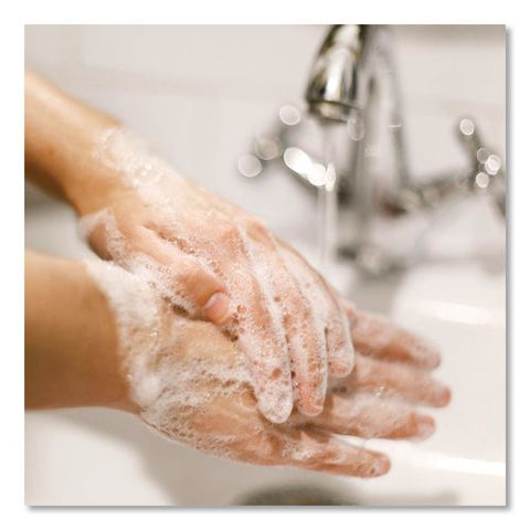 Antibacterial Foaming Hand Wash Refill For Fit X1 Manual Dispenser, Spring Water Scent, 1.2 L, 3/carton
