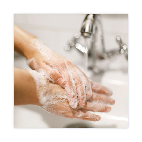 Basics Mp Free Liquid Hand Soap Refill, Honeysuckle Scent, 3.78 L