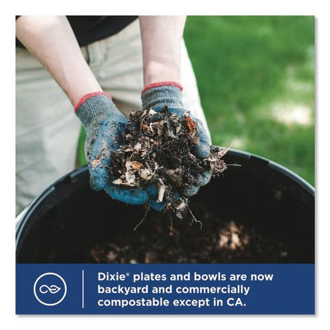 Paper Plates With Soak-proof Shield, 10" Dia, Multicolor, 86/pack