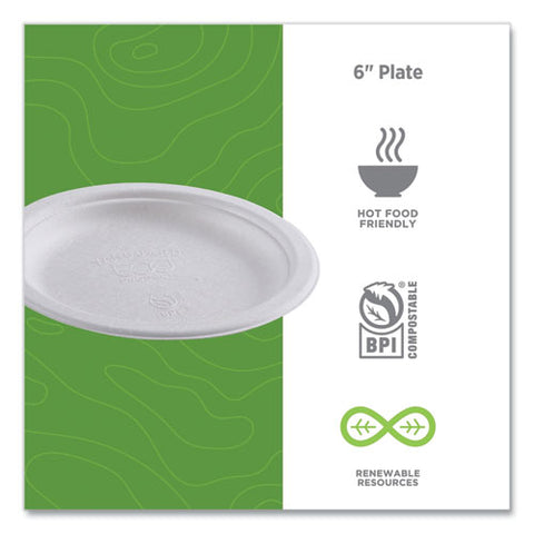 Renewable Molded Fiber Plates, 6" Dia, Natural White, 1,000/carton