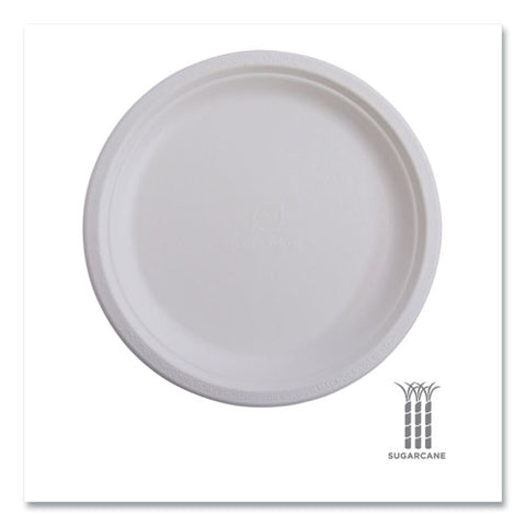 Vanguard Renewable And Compostable Sugarcane Plates, 6" Dia, White, 1,000/carton