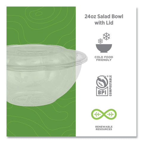 Renewable And Compostable Salad Bowls With Lids, 24 Oz, Clear, Plastic, 50/pack, 3 Packs/carton