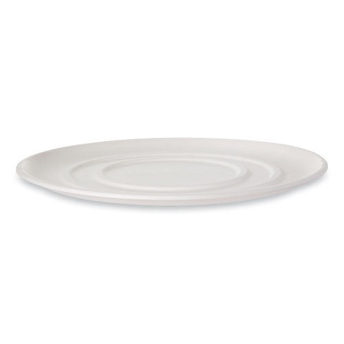 Worldview Molded Fiber Pizza Trays, 16 X 16 X 02, White, 50/carton