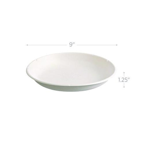 Vanguard Worldview Renewable And Compostable Sugarcane Take-out Containers, 34.1 Oz, 9 X 9 X 1.25, White, 400/carton