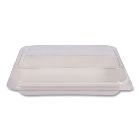 Vanguard Worldview Renewable And Compostable Sugarcane Take-out Containers, 24 Oz, 8 X 6 X 1, White, 400/carton