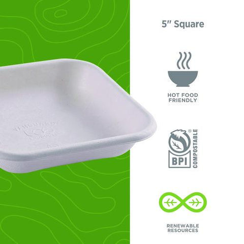 Vanguard Worldview Renewable And Compostable Sugarcane Takeout Containers, 9.9 Oz, 5 X 5 X 1, White, 800/carton