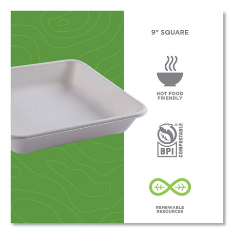 Vanguard Worldview Renewable And Compostable Sugarcane Take-out Containers, 47 Oz, 9 X 9 X 1.5, White, 200/carton