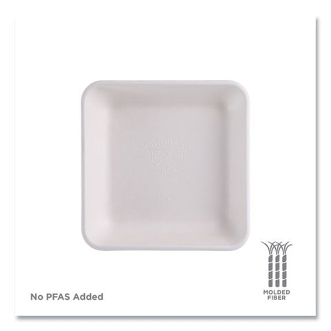 Vanguard Worldview Renewable And Compostable Sugarcane Take-out Containers, 47 Oz, 9 X 9 X 1.5, White, 200/carton