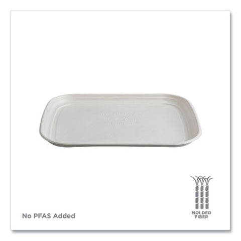 Regalia Sugarcane Servingware, Platter, 13 X 17, White, 100/carton