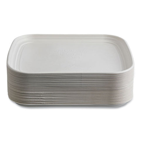 Regalia Sugarcane Servingware, Platter, 13 X 17, White, 100/carton