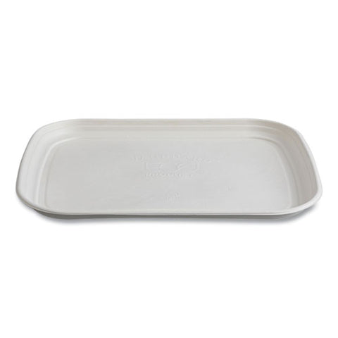 Regalia Sugarcane Servingware, Platter, 13 X 17, White, 100/carton