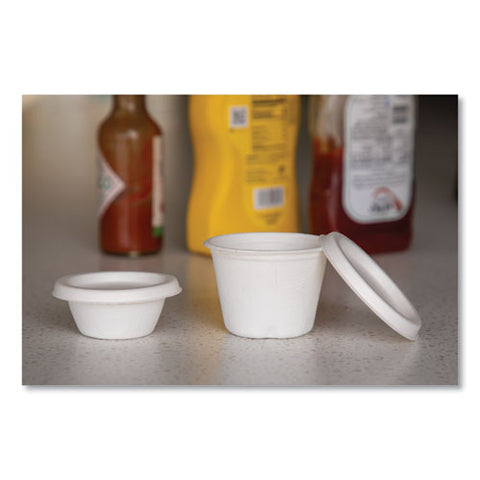 Vanguard Renewable And Compostable Sugarcane Portion Cups, 2 Oz, White, 2,500/carton
