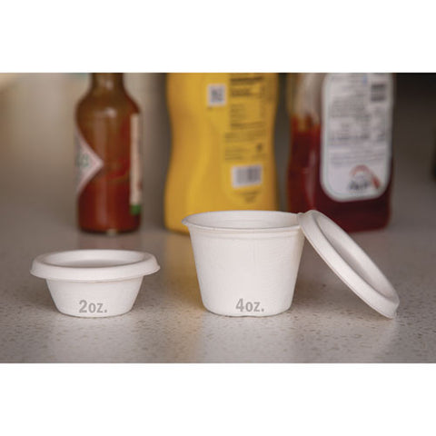 Molded Fiber Portion Cups, 2 Oz, White, 2,500/carton