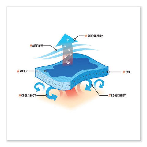 Chill-its 6601 Economy Evaporative Pva Cooling Towel, 29.5 X 13, One Size Fits Most, Pva, Blue