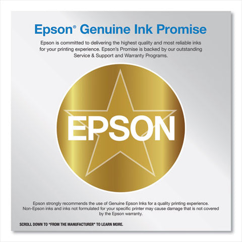 T10w100 (t10w) High-capacity Ink, Black